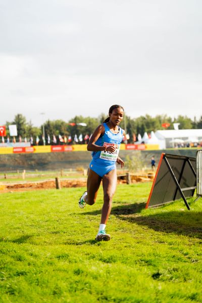 Sintayehu Vissa (Italy) am 08.12.2024 bei den Crosslauf-Europameisterschaften in Antalya